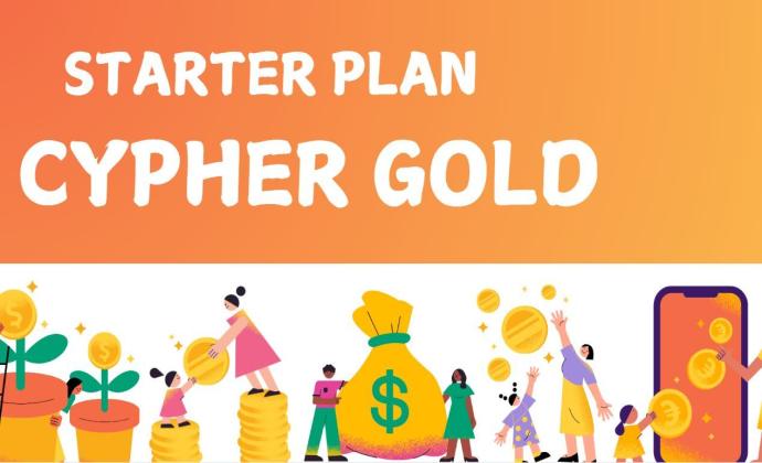 STARTER PLAN - $5,000