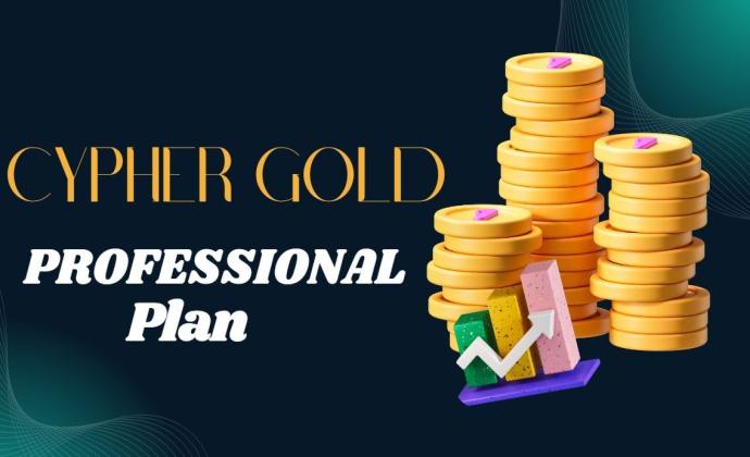 PROFESSIONAL PLAN - $26,000